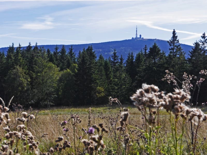 Sehenswürdigkeiten und Ausflugsziele im Harz